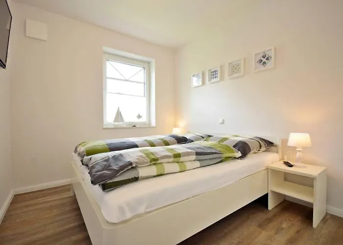 Kuestengoere * 诺登